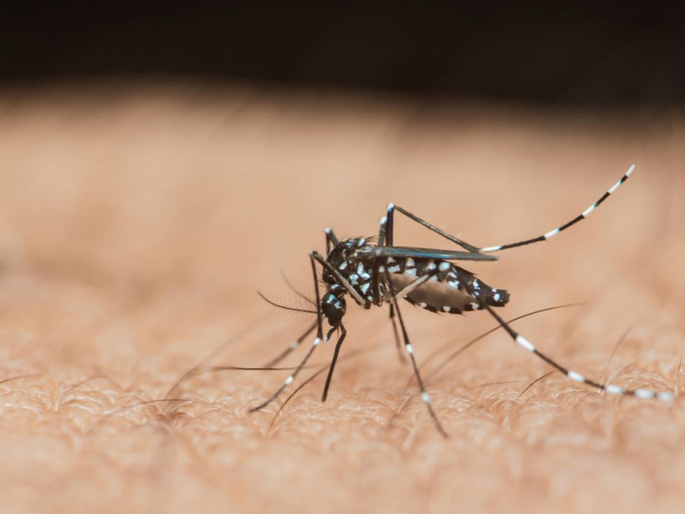 shutterstock_2634180127_20250723145025.jpg_1140x855