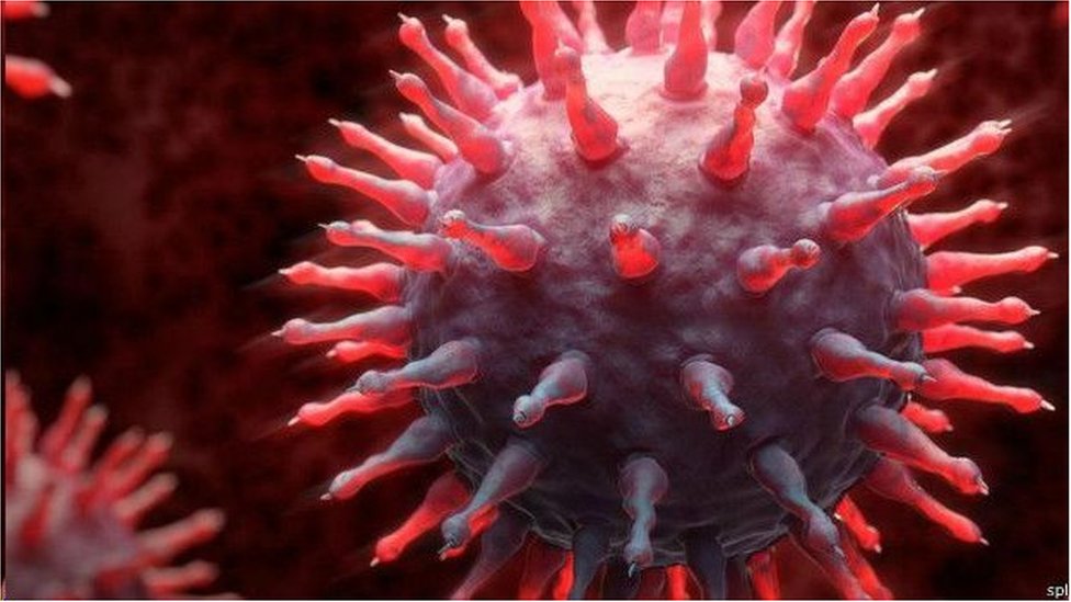 _114911418_4ab35319-998a-42a4-b5d0-555b37415570