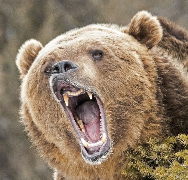 20200928205243-17ac39c9