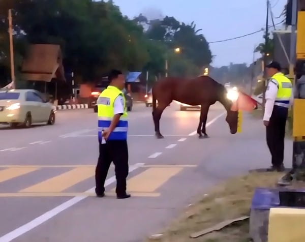 251029CMKfb57b-MK251028KB01-Rider_Langgar-Kuda
