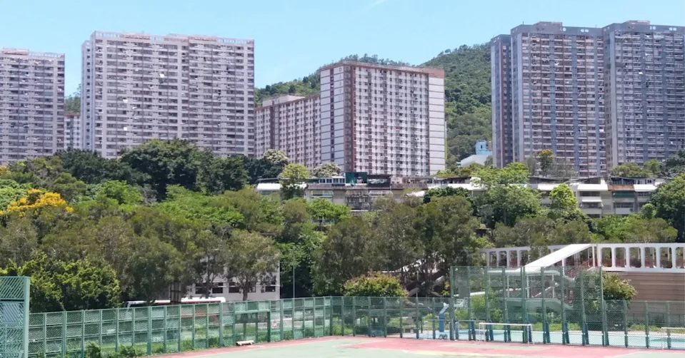 969795a3ea671eafb0422a7cd1ecc934