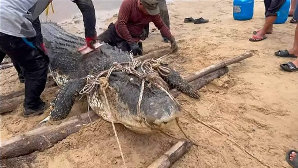 bi25029d0516074312-20251029180811-aspect-ratio-1600-900-1024x576