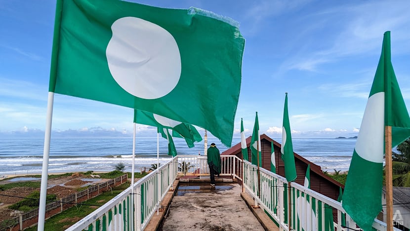 bridge_20Parti_20Islam_20Se-Malaysia_20PAS_20flags_20in_20Rusila_20Terengganu_202