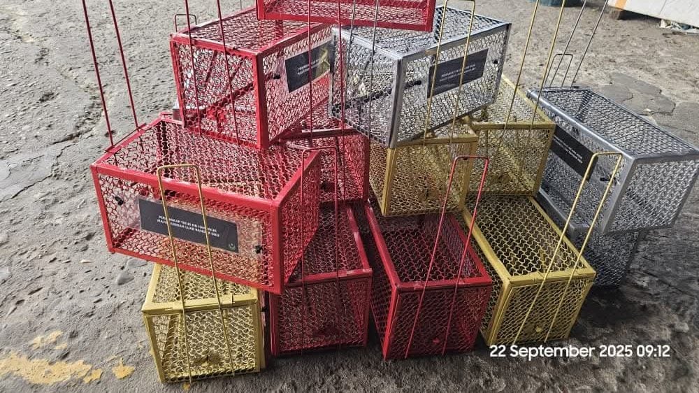 sb251010d0115958886-20251010172954-aspect-ratio-1600-900