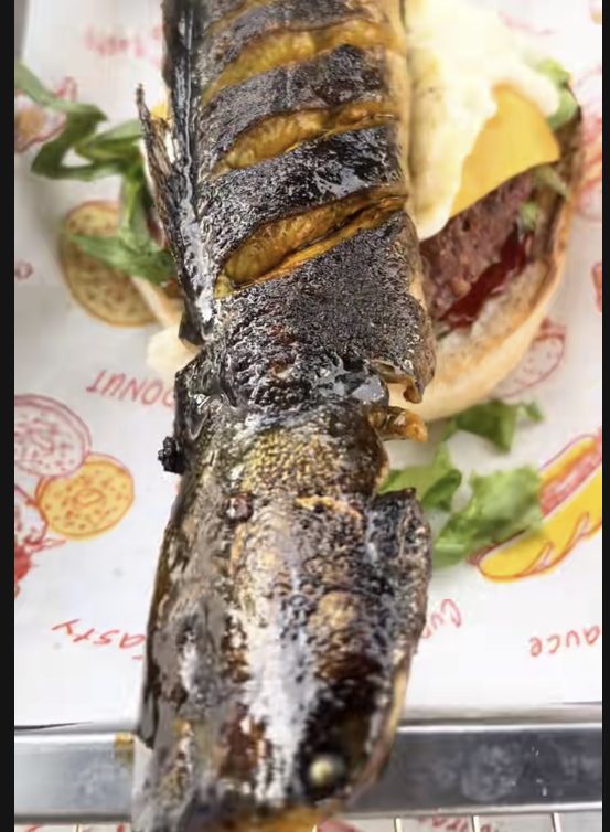 屏幕截图 2025-10-29 231114