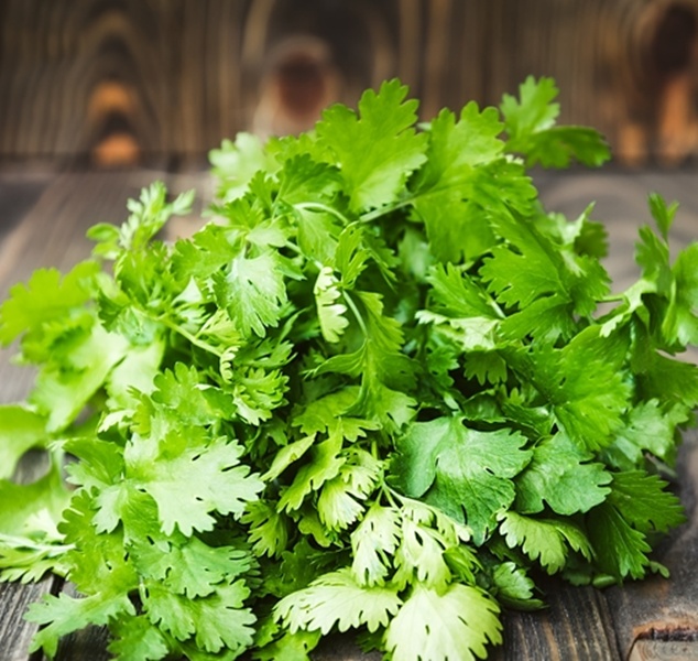 20190924115117-d56f0f63