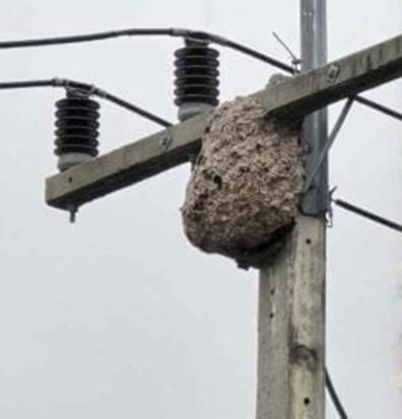 20251105pfb41a_High-voltage-power-pole-500x261