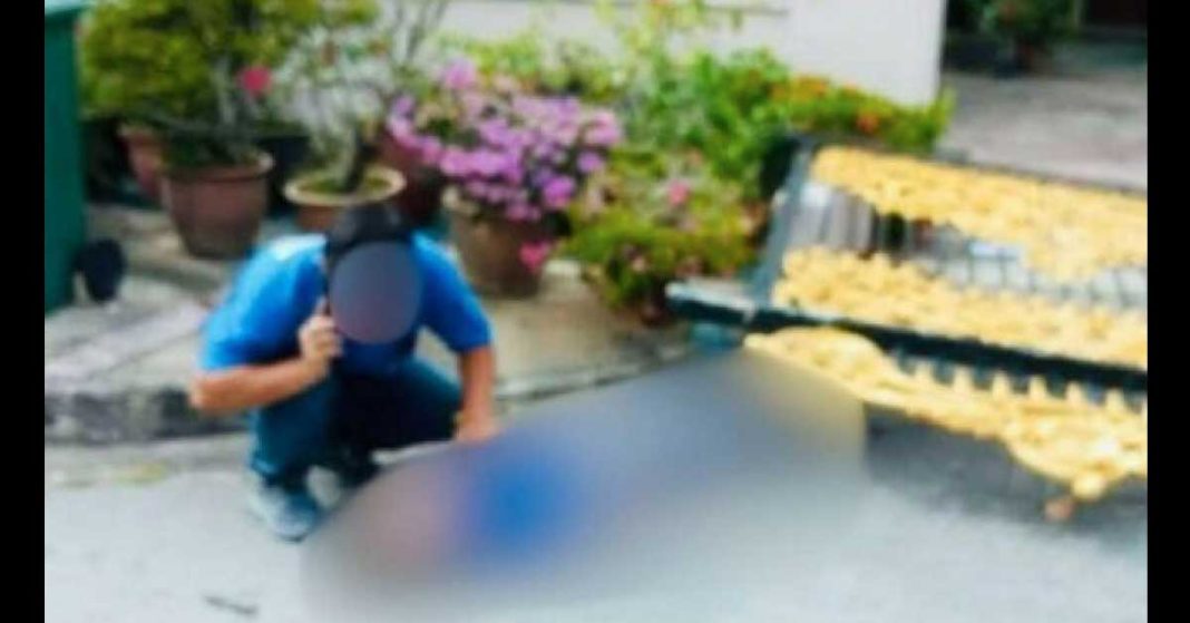 20251109CPYC12A-DEAD