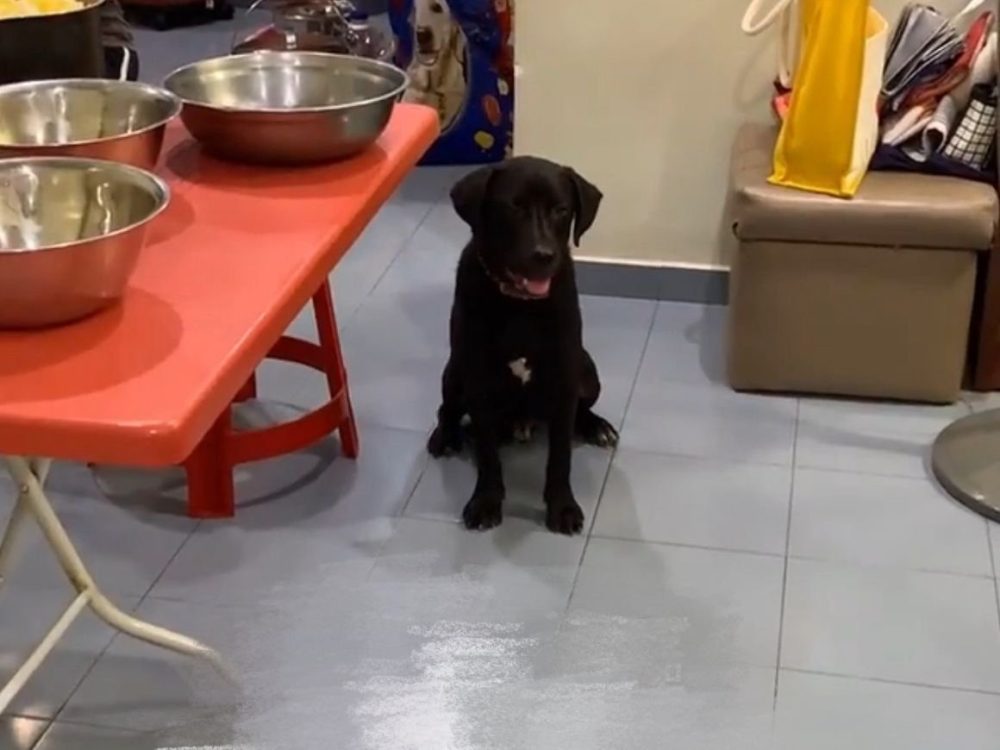 20251115-Chinapress-128-ST251115ob06