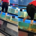 超市女工赤脚踩进活虾缸 网民崩溃:还敢买吗