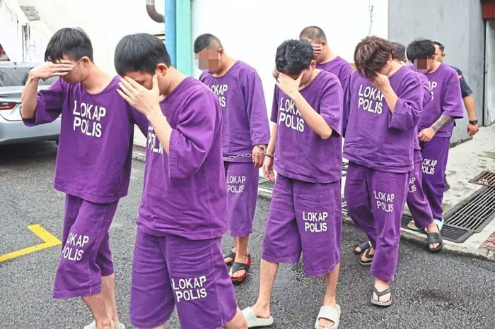 20251127CPKK73c_SCAMMER_GANG_jb251127nzwb01x