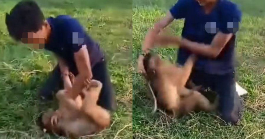 3f5839e6a5b80543cef9a3299c383a73