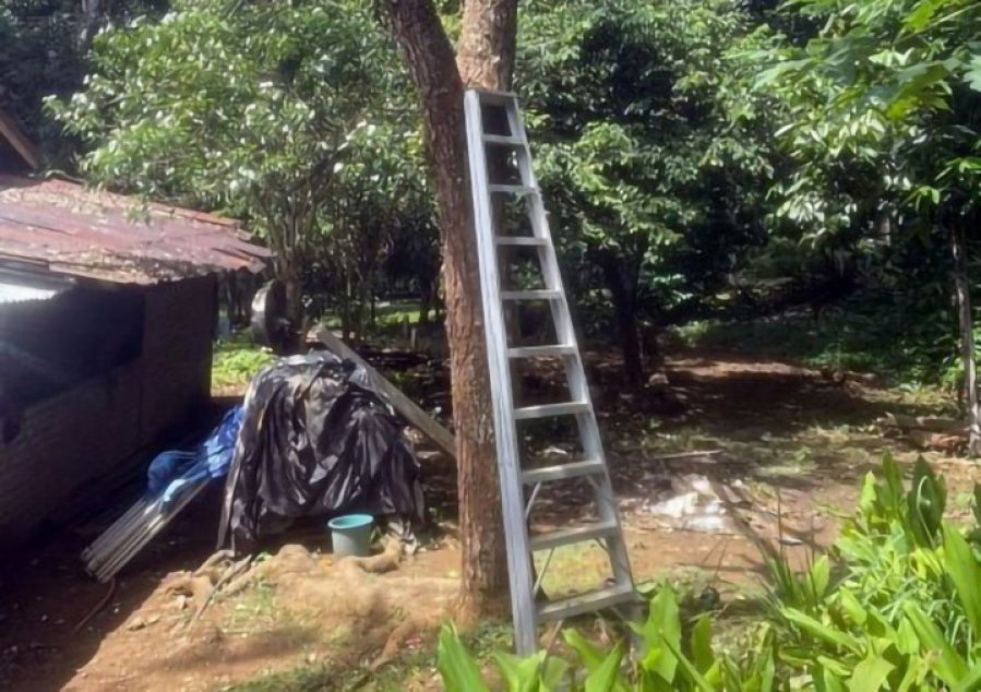 4cf64531ebe2d5617ab8691443d0bd02