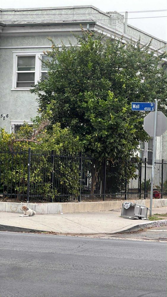 576950380_5068086550082279_6202038848493602724_n