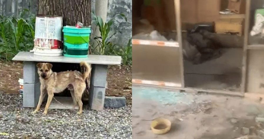 637039ef316eb0920364fd3191822e73