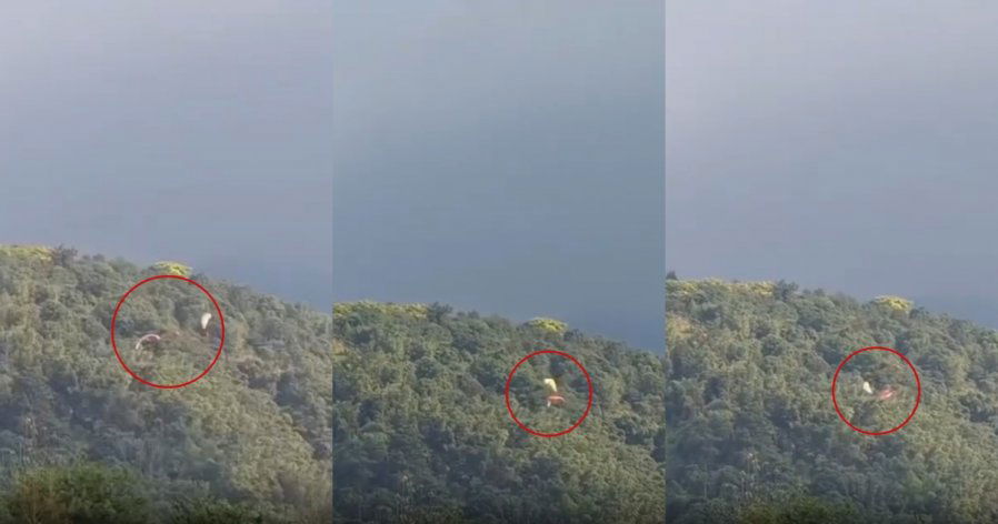 65c85da422eb84a6fb17d006f7bec833