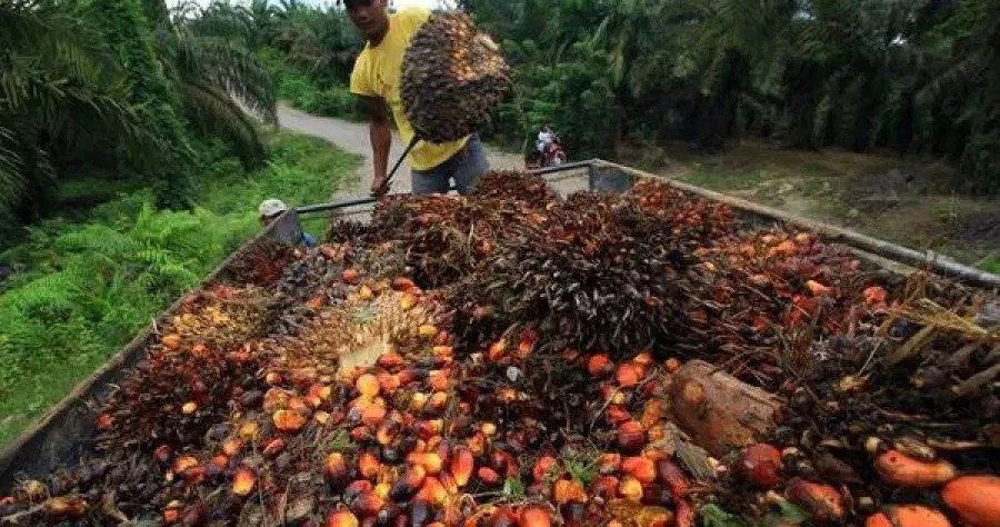 6d058203ae486dabf86cd72a64ebf21c