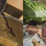 烤肉店生吃生菜 竟吐出10厘活虫