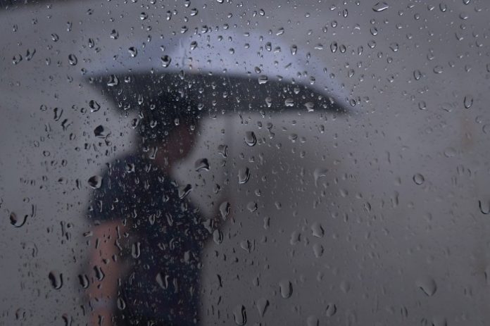 BER_P_M4227-696x463-1