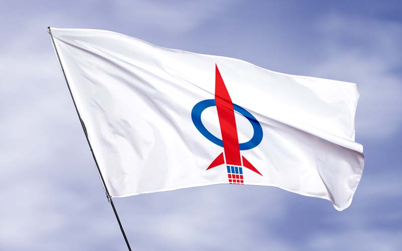 DAP_FLAG