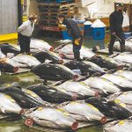 没在怕中国水产禁令?专家:日本有“三反制手段”