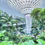 新国2机场明年起 实施新“禁载令”