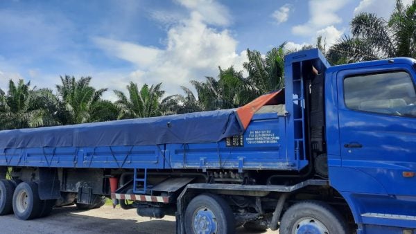 ST230223oc01-e1677149532303