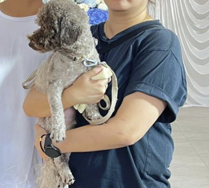 Screenshot 2025-11-15 125607