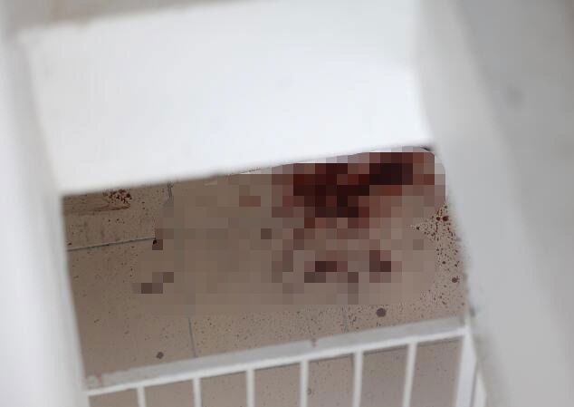 WhatsApp_Image_2025-11-08_at_4.40.01_PM