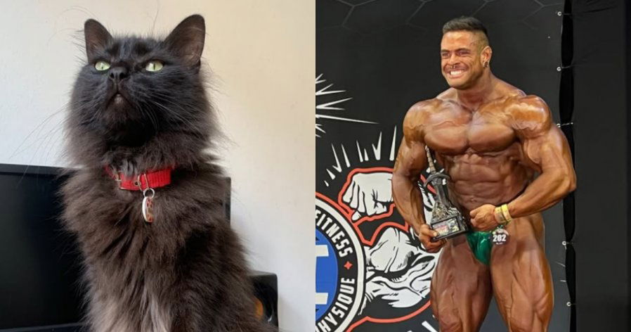 a941ecb731432bc8e621d66b83303a8f