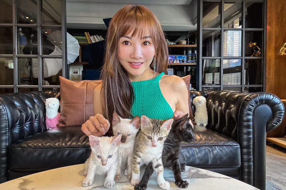 aZ240205145923725205