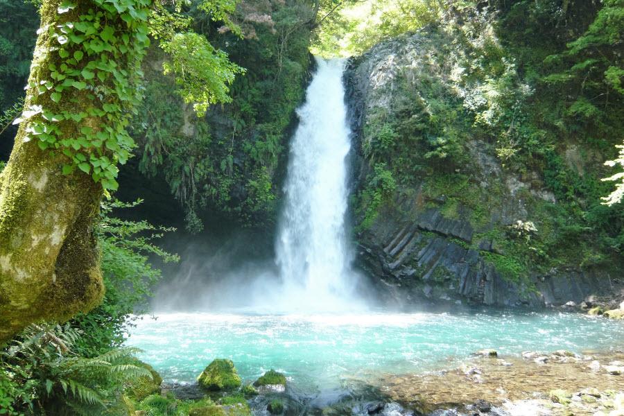 b09285ea-8e6a-4d5a-aae2-7ec8c5d30ddc