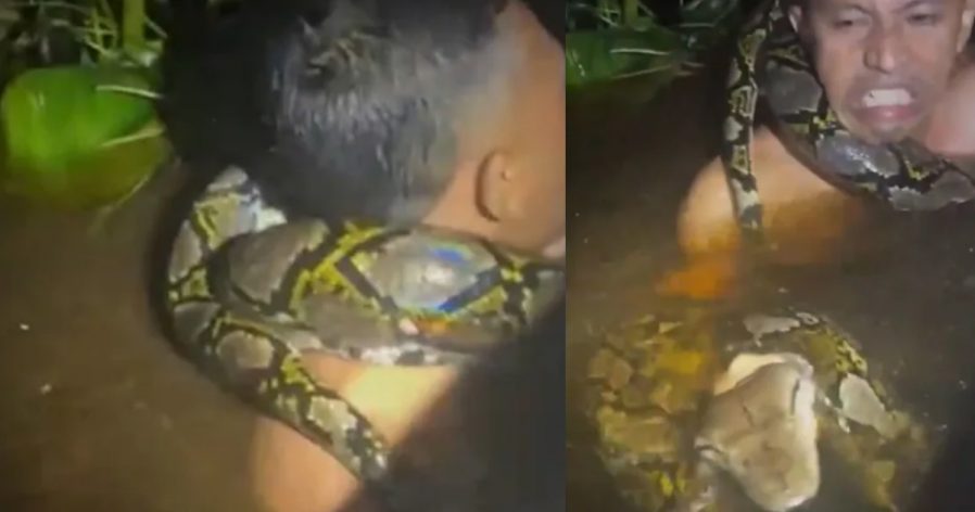 b18c8ba054c90689827ad4a154475152