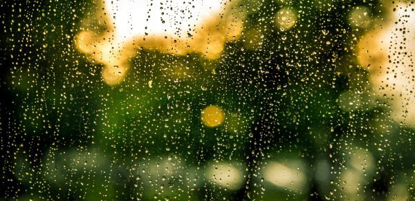 bokeh-drops-of-water-rain-8486-1-e1544551611439