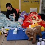 香港夺命大火 志工冒险搜救宠物