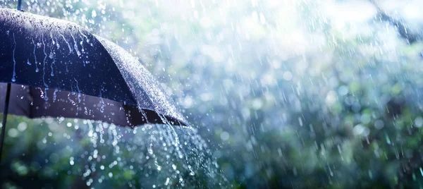 depositphotos_290545314-stock-photo-rain-umbrella-weather-concept