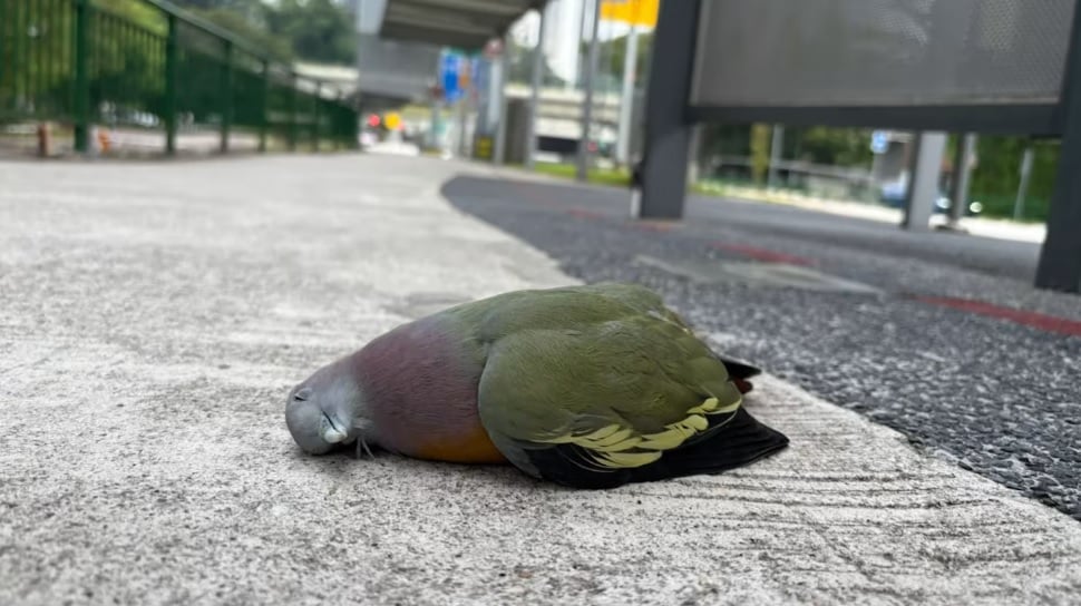 e5b7b2e7adbee58f91-e69f94efbc9ae78baee59f8ee4ba8ce4b889e4ba8befbc9ae5b7b4e5a3abe7ab99e78ebbe79283e99a94e69dbfe58f98e2809ce5a4bae591bd-1