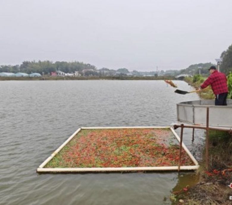 e6b996e58d97e9b1bce99da0e8bea3e6a492e995bfe5a4a7efbc81e4b880e5a4a9e596825000kg-e88081e69dbfe79c81e992b1e8bf98e5b9b4e8b59ae980be11e4b887