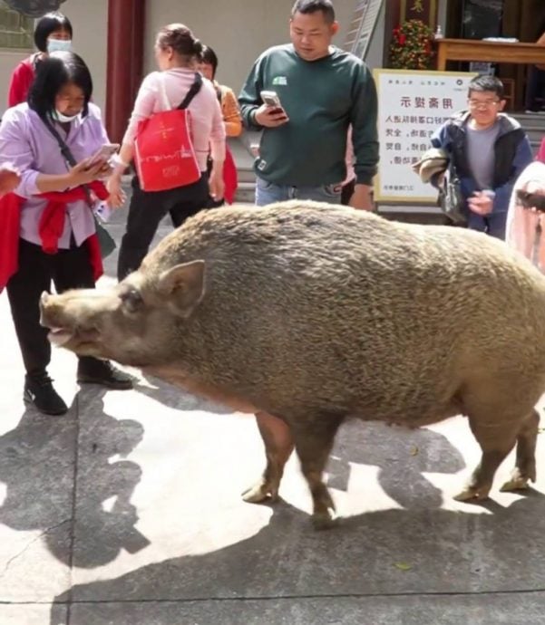 e78caae585abe68892e5908ee4babae6b19fe997a8e8a782e99fb3e5afba150e585ace696a4e9878ee78caae78886e7baa2-e6b8b8e5aea2e98092e88bb9e69e9c