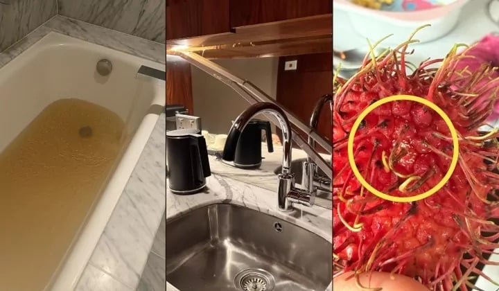 e794b7e5ad90e696a5e99a86e4ba94e6989fe98592e5ba97e58dabe7949fe6aca0e4bdb3-e2809ce4b880e6999a4500e5b883e6bba1e781b0e5b098-e6b0b4e8b4a8