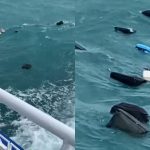 渡轮乘客甲板赏美景 游客惊见自己的行李箱漂走