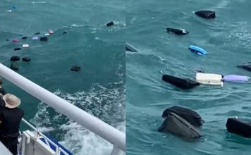 渡轮乘客甲板赏美景 游客惊见自己的行李箱漂走