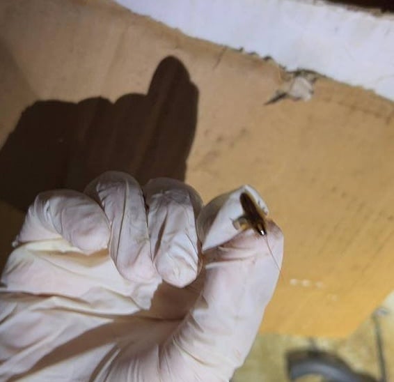 e8afb7e7adbee58f91-e5a4a7e983bde4bc9ae5868de69c89e9a490e5aea4e5a4aae8848fe8a2abe5b0815e59bbe-2