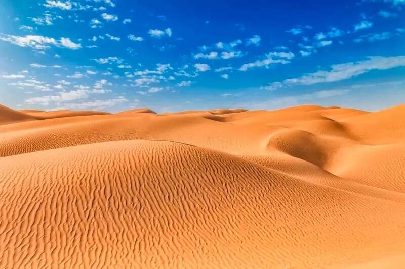 img_9667fdf8e8a153facc0f081f357306d231_c