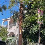 华裔夫妇遭女婿枪杀 10岁女童中弹抢救