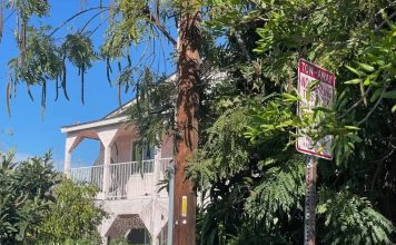 华裔夫妇遭女婿枪杀 10岁女童中弹抢救