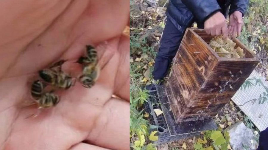 13d3296ac9bde428811628e30c5d971e