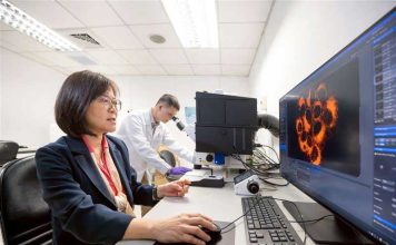 “迫使肿瘤自我毁灭” 科学家破解癌细胞弱点