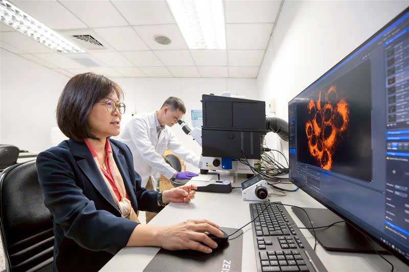 20251229CPKK24c_CHINA_QING_HUA_CANCER_RESEEARCH_02