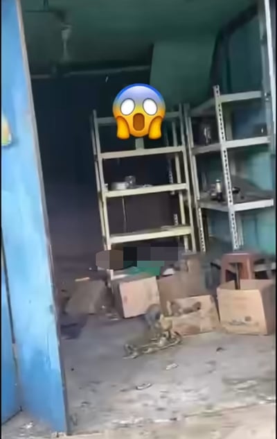 251230CMKfb69d-CR251229tpmC03-Homeless_dead